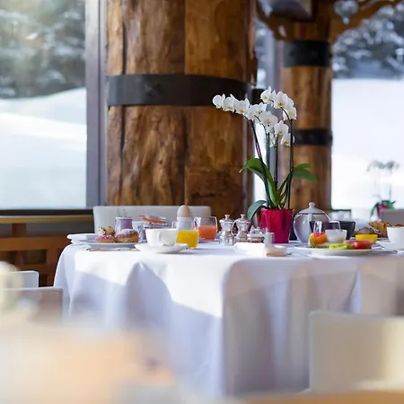 Le Palace Des Neiges Отель 3*