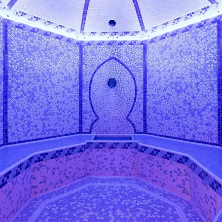 מלון Le Palace Des Neiges