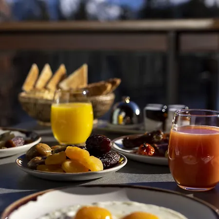 Le Palace Des Neiges