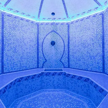 Le Palace Des Neiges Hotell
