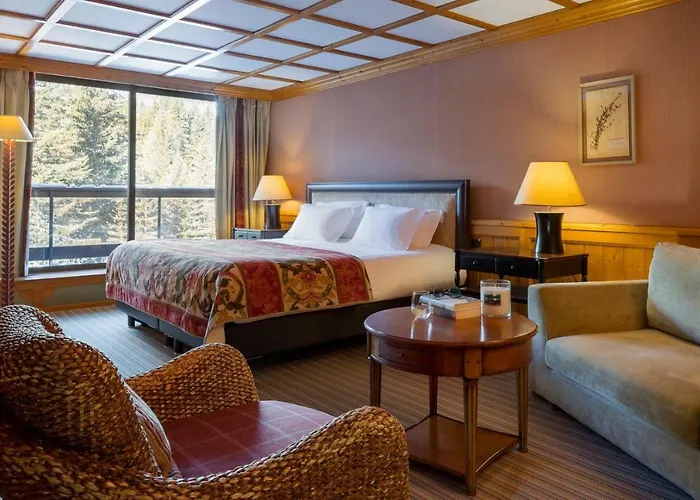 Le Palace Des Neiges 3*